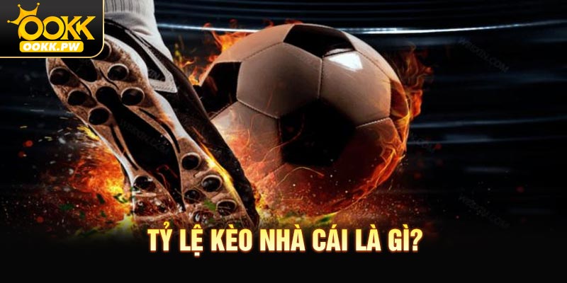 Tỷ lệ kèo nhà cái là gì?