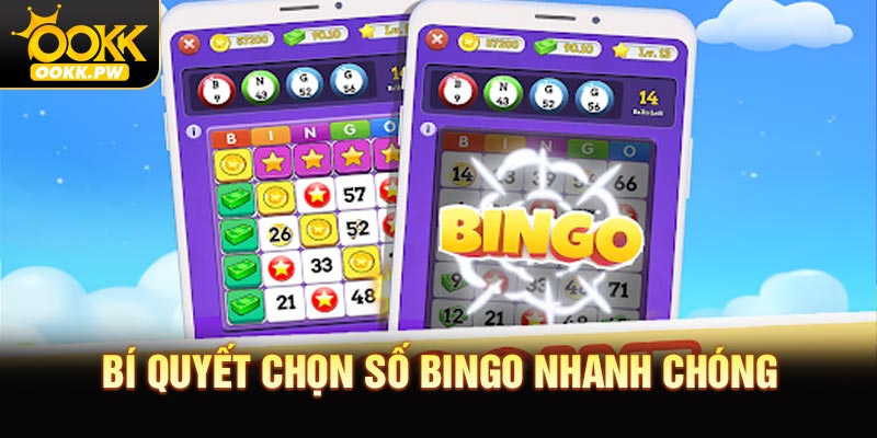 Bí quyết chọn số Bingo nhanh chóng, độ tin cậy cao
